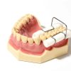 PortarulliCotone_01 (2)